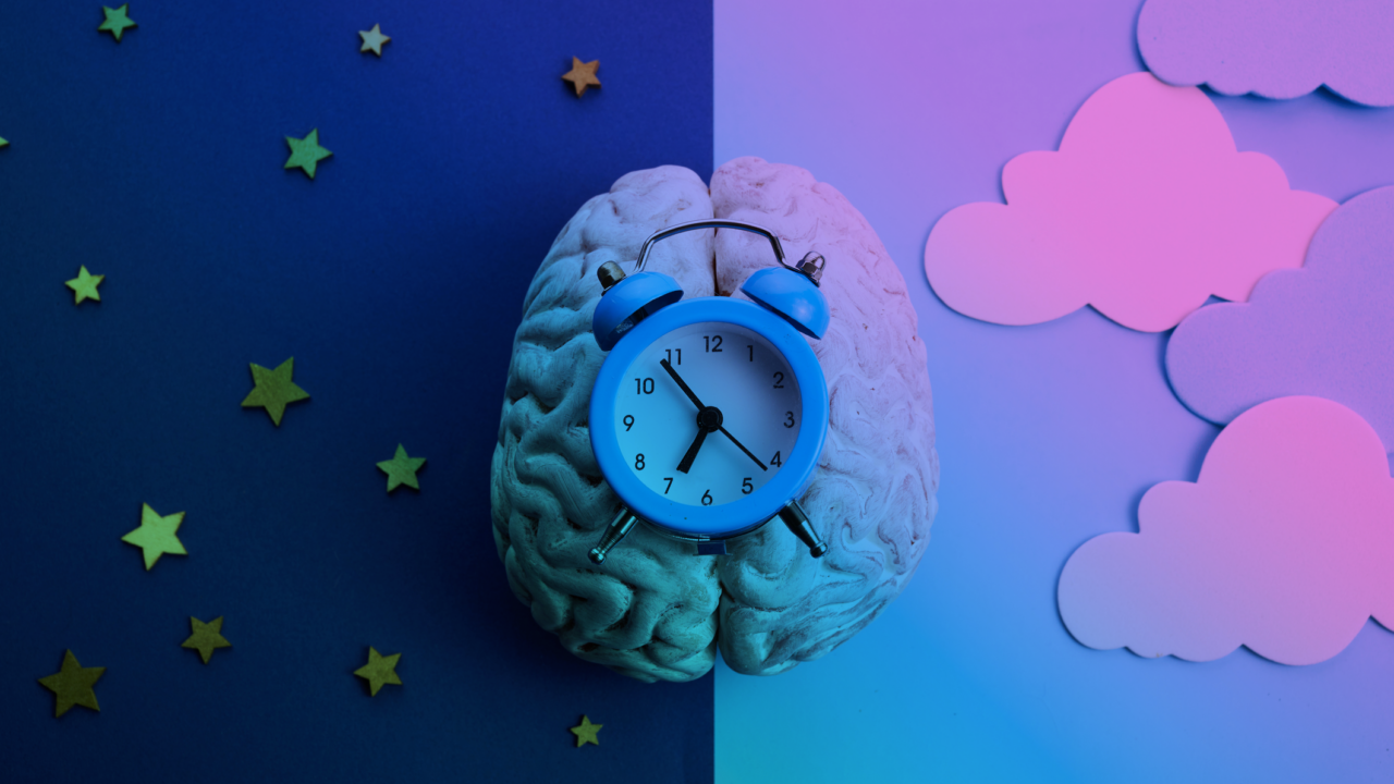 Illustration of a brain with night and day backgrounds