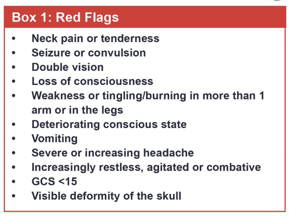 list of red flags that indicate a concussion or a traumatic brain injury (tbi)