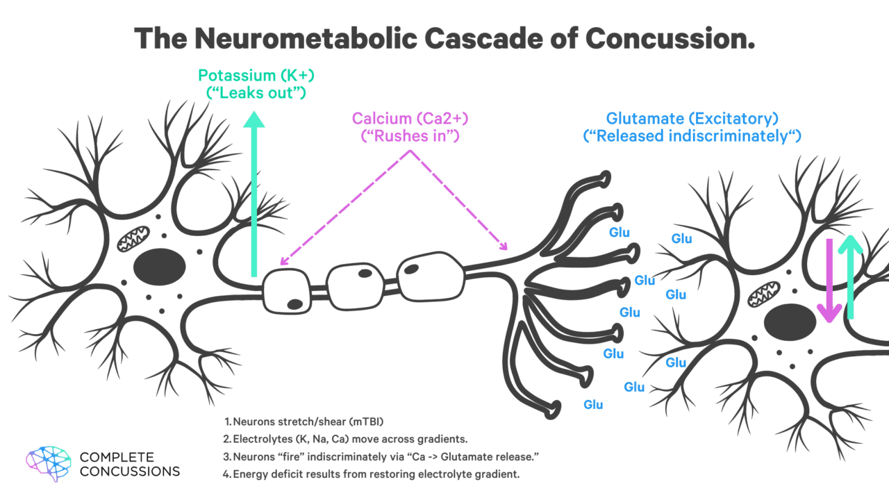 The neurometabolic cascade of concussion