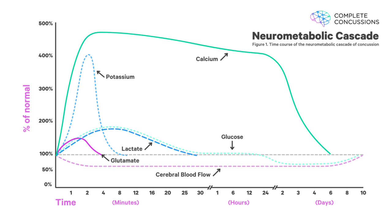 Time course of the neurometabolic cascade of concussion