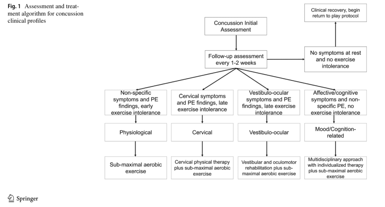 Assessment and treatment algorithm for concussion clinical profiles